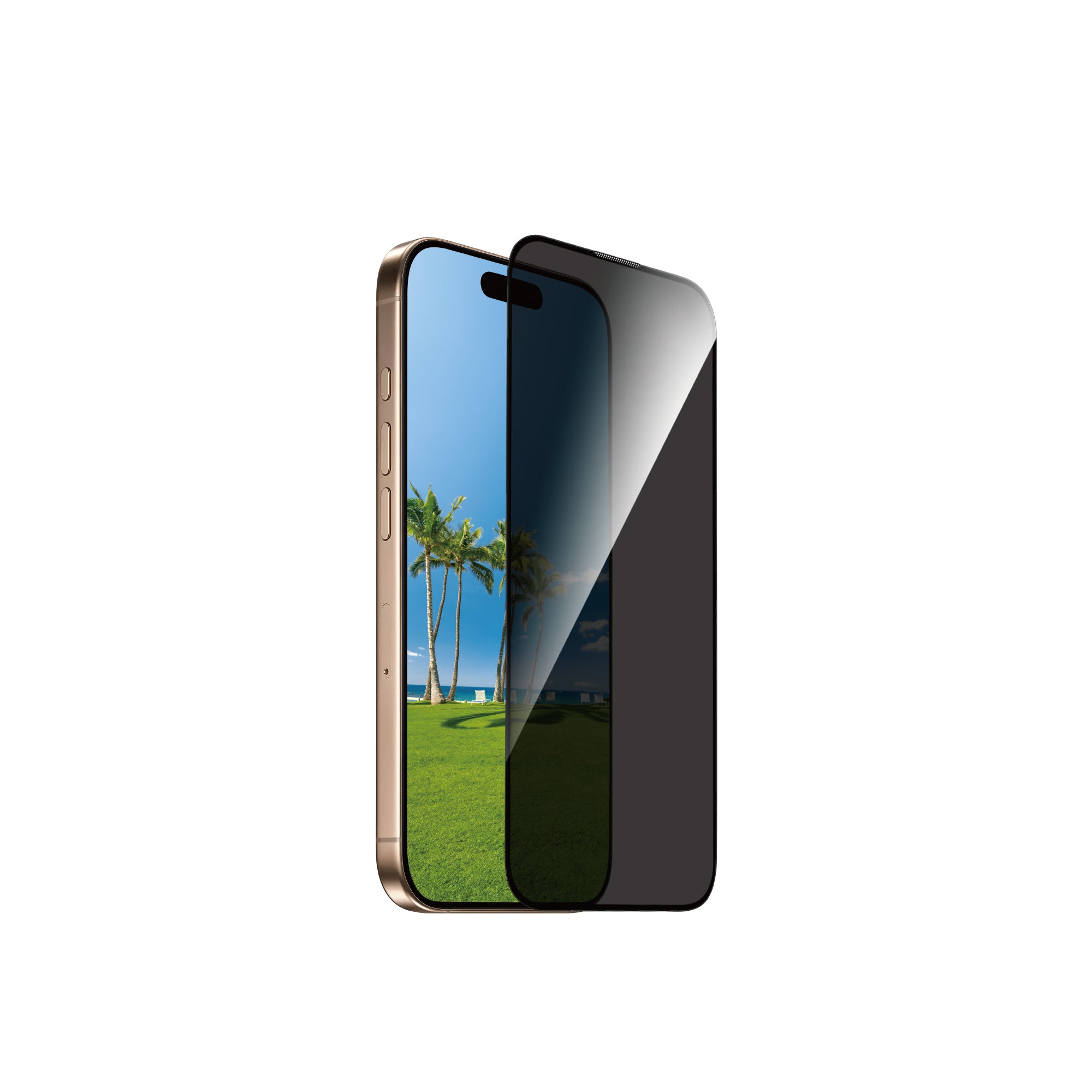 WiWU 2.5D iPrivacy Tempered Glass for iP17 Series GT-028