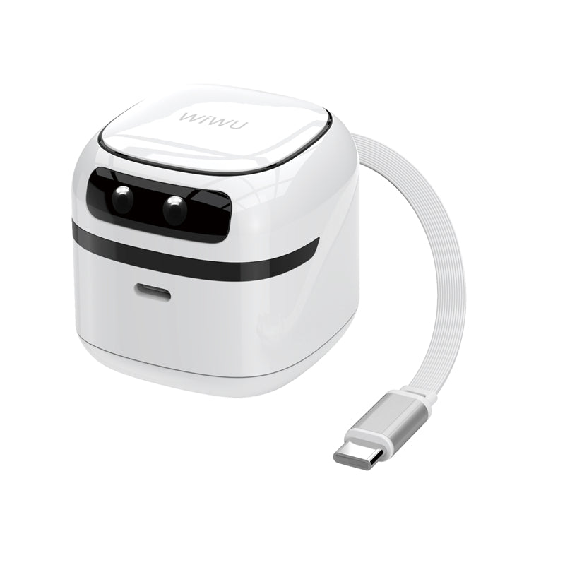 WiWU 65W Cute GaN Fast Charger 1C+Type-C cable Wi-U037